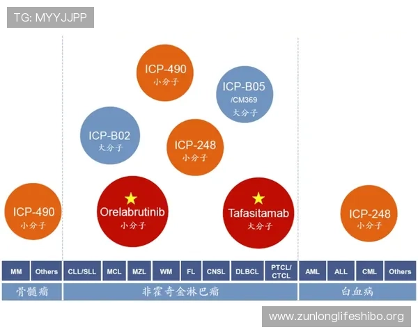 凯时正规官网安全可靠,保障玩家资金与信息安全的最佳选择 凯时正规官网安全可靠,保障玩家资金与信息安全的最佳选择