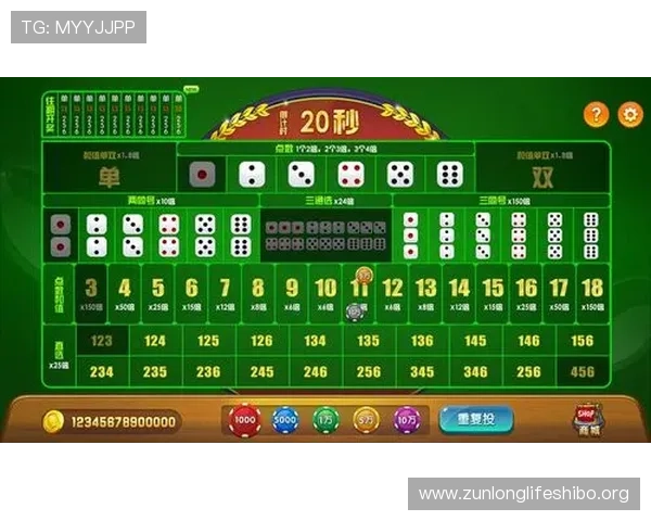 深入理解尊龙新版押注规则：确保您在游戏中做出明智决策